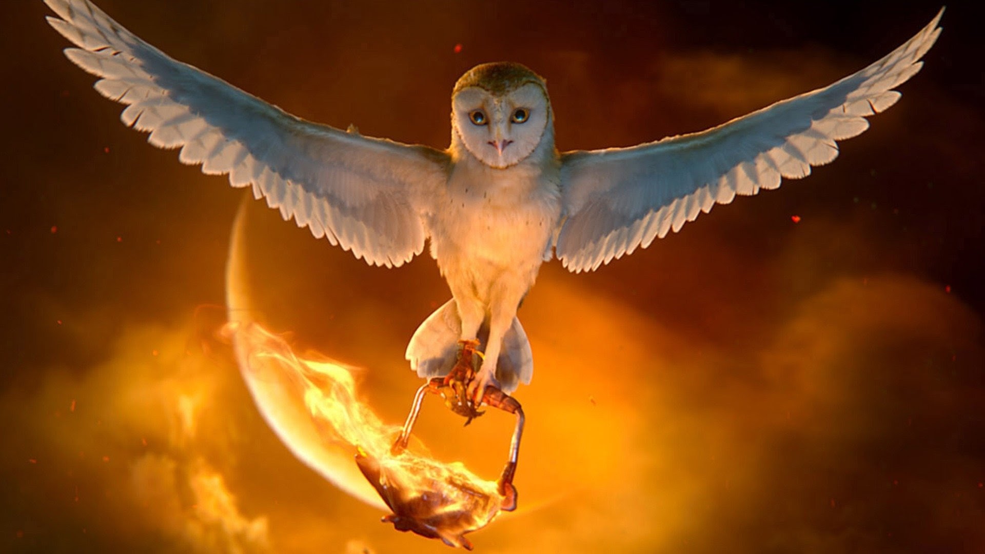 معرفی فیلم “Legend of the Guardians: The Owls of GaHoole “